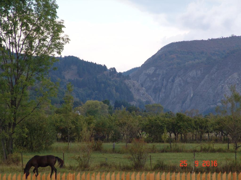 Complex Agroturistic Livada De Nuci Villa Baia de Fier Buitenkant foto