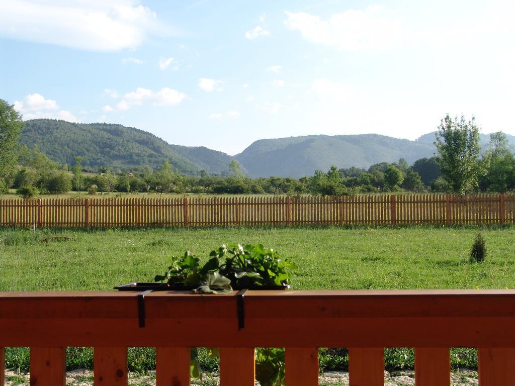 Complex Agroturistic Livada De Nuci Villa Baia de Fier Buitenkant foto