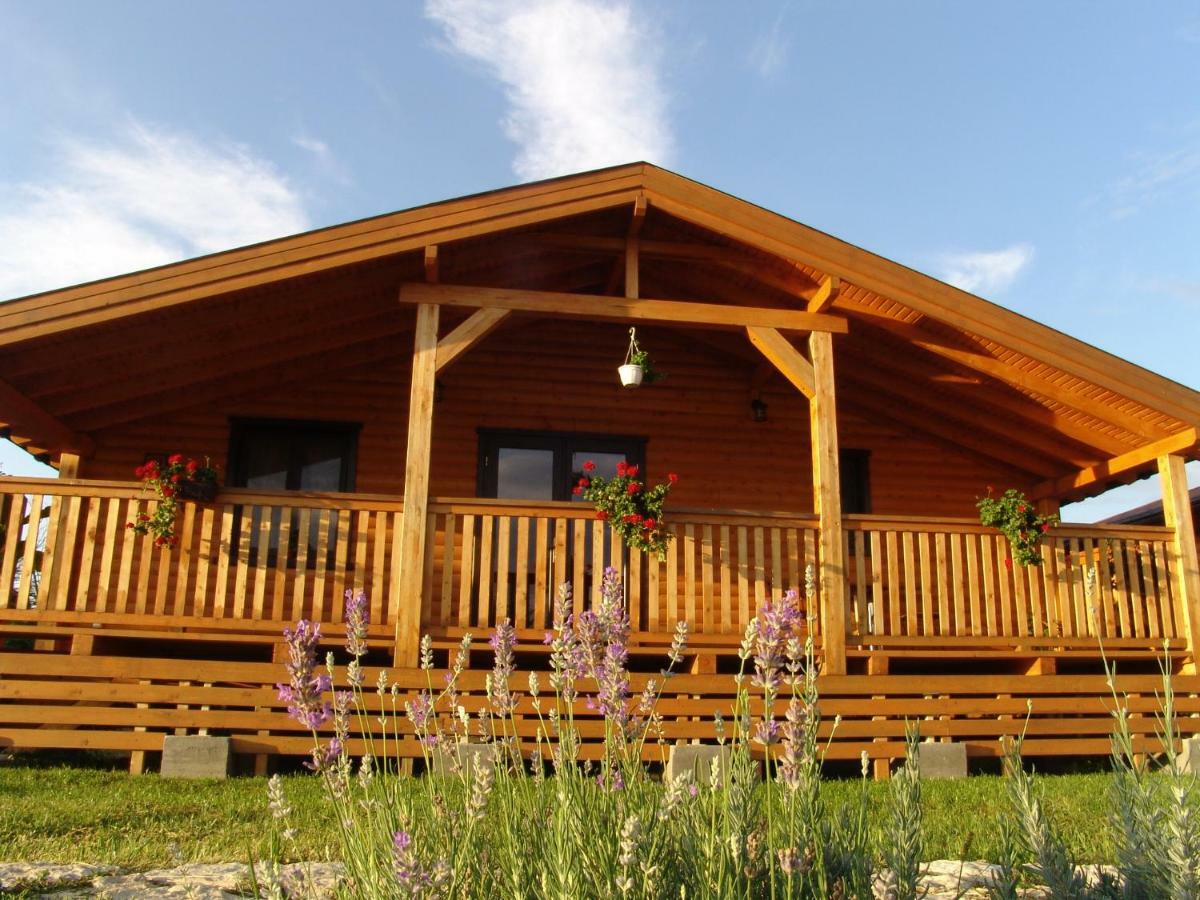 Complex Agroturistic Livada De Nuci Villa Baia de Fier Buitenkant foto