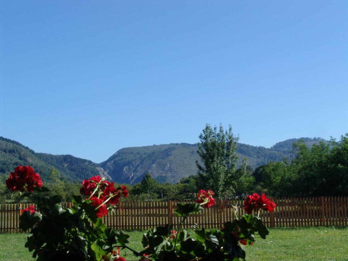 Complex Agroturistic Livada De Nuci Villa Baia de Fier Buitenkant foto