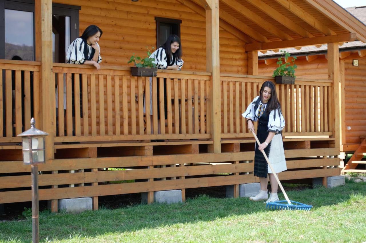 Complex Agroturistic Livada De Nuci Villa Baia de Fier Buitenkant foto